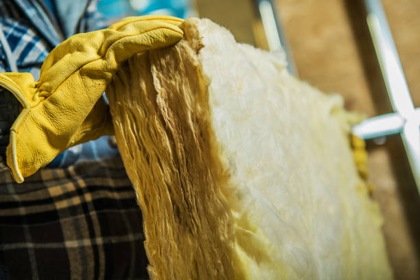Best Attic Insulation Installation  in Poth, TX