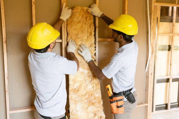 Best Commercial Insulation Contractor  in Poth, TX