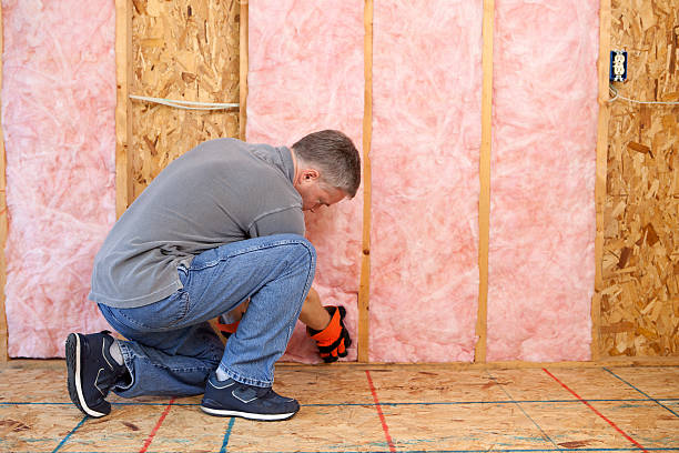 Best Insulation Contractors for Homes  in Poth, TX